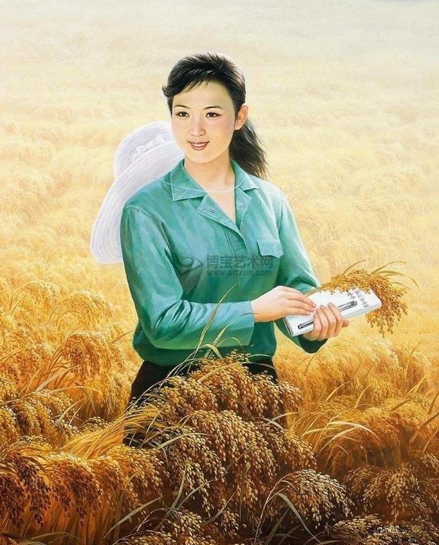 朝鲜歼-10战斗机，探索与解析，朝鲜歼-10战斗机的探索与解析