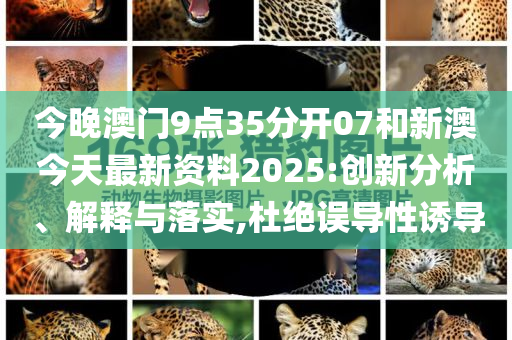 新澳今天最新资料2025