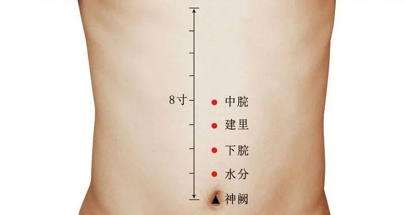 今天三九是哪一天？探寻中国传统节气中的三九时节，探寻中国传统节气中的三九时节，今日三九具体日期揭晓！
