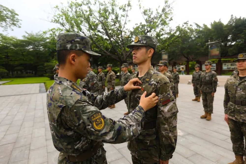 南部战区部队番号，揭秘中国人民解放军南部战区的力量架构，中国人民解放军南部战区力量架构揭秘，部队番号详解
