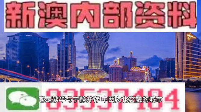 澳门内部资料精准大全2023，深度探索与预测分析，澳门内部资料深度探索与预测分析2023